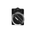 Schneider Electric XA2ED25 1Na+1Nk Mandal Buton